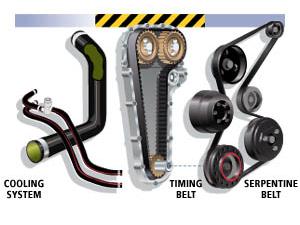 Belts and Hoses